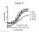 Fig. 31 - Optimized proteins that target Ep-CAM