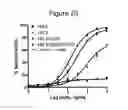 Fig. 37 - Optimized proteins that target Ep-CAM