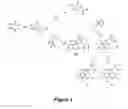 Fig. 02 - Method for manufacturing optically pure coumaryl amino acids and the novel coumaryl aminoacids thus obtained