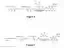 Fig. 03 - Method for manufacturing optically pure coumaryl amino acids and the novel coumaryl aminoacids thus obtained