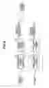 Fig. 09 - Endoscope image pick-up apparatus