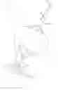 Fig. 01 - Laparoscopic Tissue Retractor