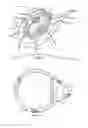 Fig. 03 - Retractor blade and bridge system