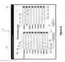 Fig. 07 - Neonatal nutrition assessment system