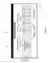 Fig. 08 - Neonatal nutrition assessment system