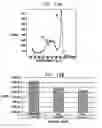 Fig. 19 - Intra-lumen polyp detection
