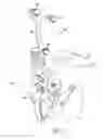 Fig. 06 - System and method for registering a bone of a patient with a computer assisted orthopaedic surgery system