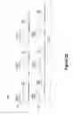Fig. 23 - Transducer array imaging system