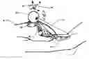 Fig. 01 - Micro vein enhancer