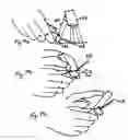 Fig. 22 - Micro vein enhancer