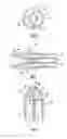 Fig. 03 - Method and apparatus for facilitating injection of medication into an intravenous fluid line while maintaining sterility of infused fluids