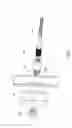 Fig. 05 - Device for stabilizing the spine