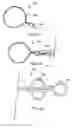 Fig. 06 - Apparatus and method for colonoscopic appendectomy