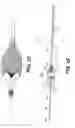 Fig. 20 - EMBOLIC PROTECTION DEVICE