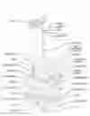 Fig. 01 - Gastrointestinal electrical stimulation