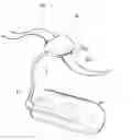 Fig. 01 - LASER ACTIVATOR FOR PHYSICAL TREATMENT