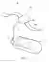 Fig. 02 - LASER ACTIVATOR FOR PHYSICAL TREATMENT
