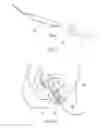 Fig. 10 - LASER ACTIVATOR FOR PHYSICAL TREATMENT