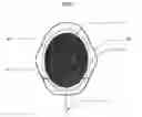 Fig. 02 - Multifunction electrode pad