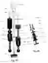 Fig. 09 - Artificial joints using agonist-antagonist actuators