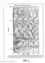 Fig. 07 - Compositional modeling and pyrolysis data analysis methods