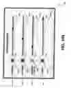 Fig. 51 - SYSTEMS AND METHODS FOR PRESENTING DATA ITEMS