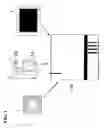 Fig. 02 - Method, apparatus and processes for real-time interactive online ordering and re-ordering and over the counter purchasing with rebate, saving, and investing processes
