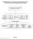 Fig. 19 - Internet-based method of and system for transfering and exercising monetary rights within a financial marketplace