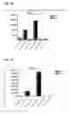 Fig. 17 - Methods and systems for providing, via an application service provider model, assistance to financial professionals by tailoring a presentation of information to a client through generation of customized reports