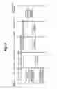 Fig. 05 - Relay server, relaying method and payment system