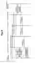 Fig. 05 - Relay server, relaying method and payment system