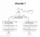 Fig. 09 - Method and apparatus for collecting and storing information about individuals in a charitable donations social network