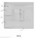 Fig. 15 - Incremental clustering classifier and predictor