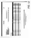 Fig. 13 - Multi-format data coding, managing and distributing system and method