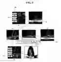 Fig. 06 - Apparatus and method for providing improved user interface between multiple network devices