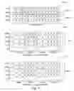 Fig. 04 - Data-width translator coupled between variable-width and fixed-width data ports and supporting multiple data-width configurations