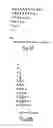 Fig. 04 - Method and apparatus for processing algorithm steps of multimedia data in parallel processing systems