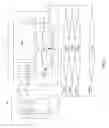 Fig. 03 - Dynamically self-decaying device architecture