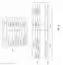 Fig. 07 - Dynamically self-decaying device architecture