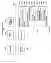 Fig. 13 - Movie authoring