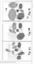Fig. 07 - Task specific audio classification for identifying video highlights