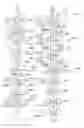 Fig. 43 - MULTIPOINT-TO-POINT COMMUNICATION USING ORTHOGONAL FREQUENCY DIVISION MULTIPLEXING