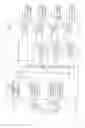 Fig. 103 - Round trip delay adjustment in multipoint-to-point communication using orthogonal frequency division multiplexing
