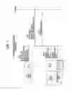 Fig. 08 - Information processing device and method