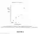 Fig. 03 - ANF fusion proteins