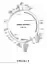 Fig. 04 - ANF fusion proteins