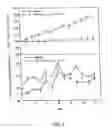 Fig. 03 - Isolated antibodies against biologically active leptin-related peptides