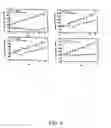 Fig. 13 - Isolated antibodies against biologically active leptin-related peptides