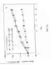 Fig. 18 - Isolated antibodies against biologically active leptin-related peptides
