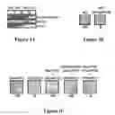 Fig. 04 - Pseudomonas AVR and HOP proteins, their encoding nucleic acids, and use thereof